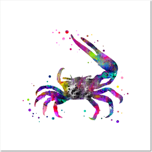 Fiddler crab Posters and Art